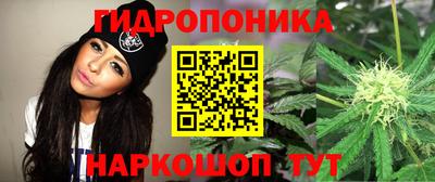 ешки Лениногорск